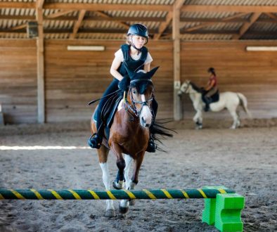 Schedule Your Lessons With A Horse Lesson Scheduling App