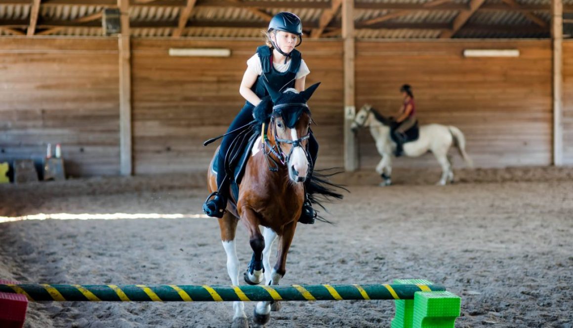 Schedule Your Lessons With A Horse Lesson Scheduling App