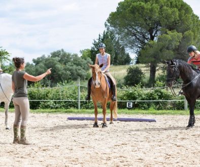 Use Advanced Software Features To Enhance Your Group Lessons (just like this equestrian riding lesson).