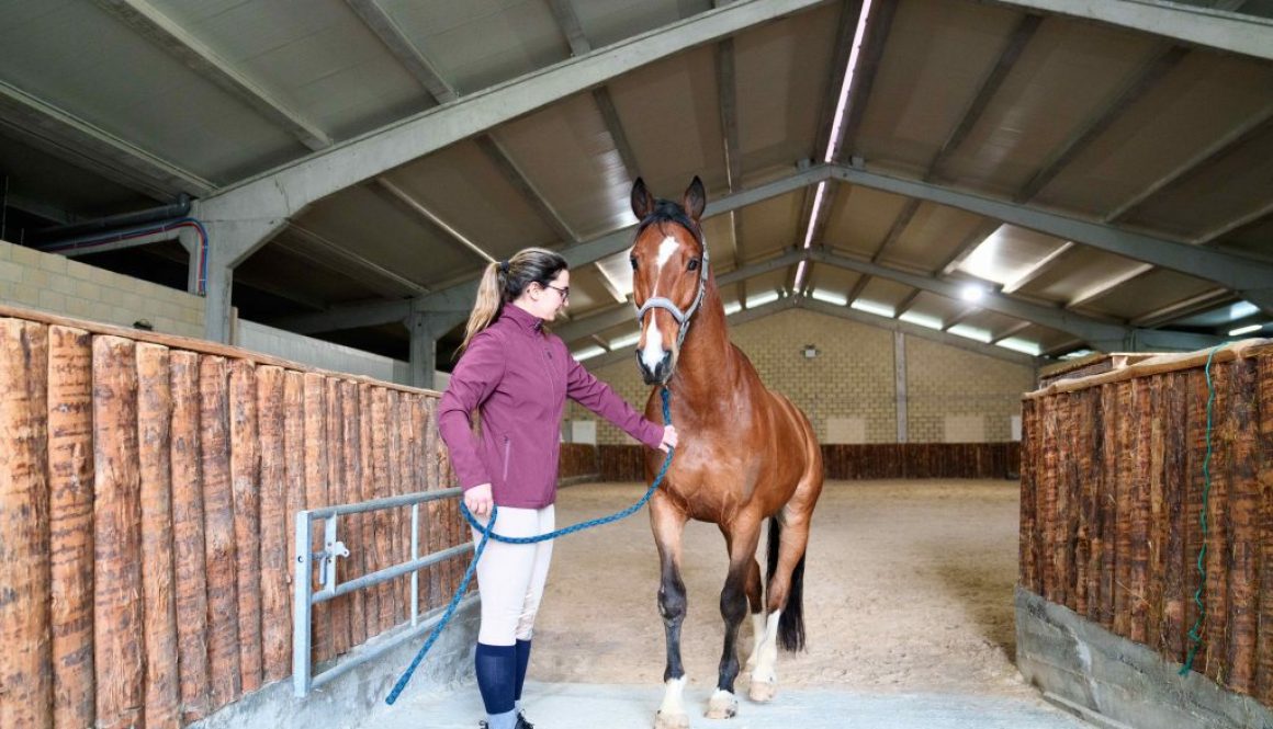 Optimize Your Horse Care With Our Equine Management System