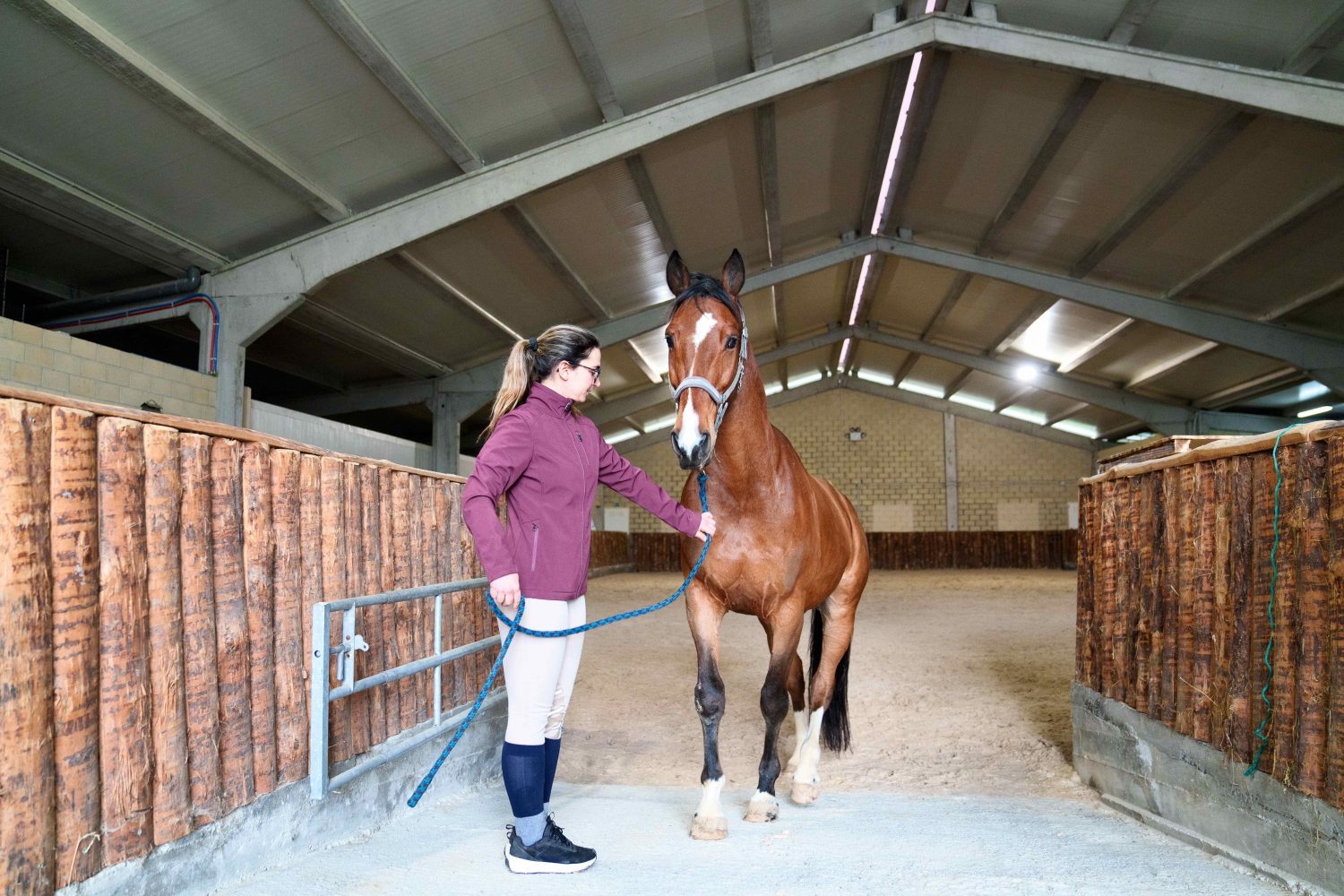 Optimize Your Horse Care With Our Equine Management System